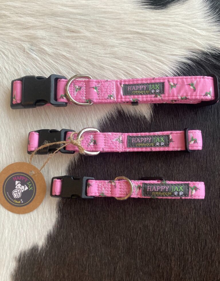 Happy Jax Kingfisher Collars