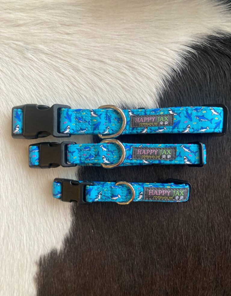 Happy Jax Sharks Collars