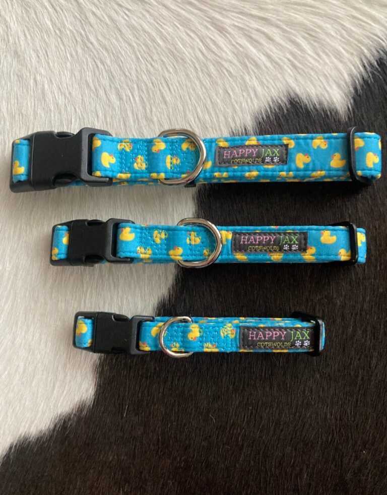 Happy Jax Ducks Collars