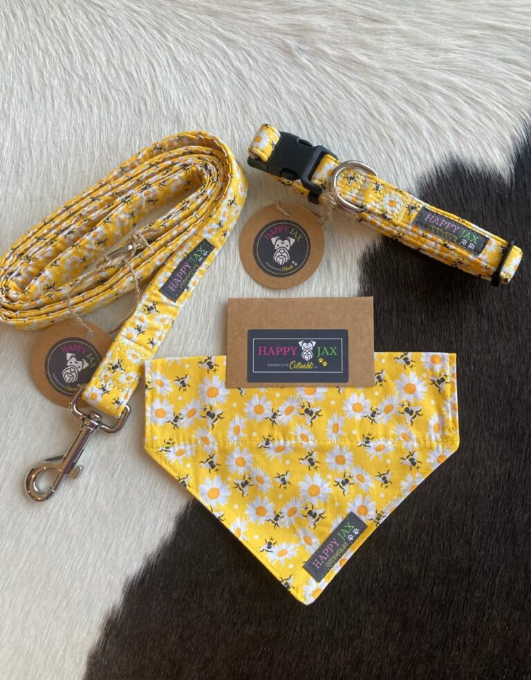 Alternative view of Happy Jax Bee Collars