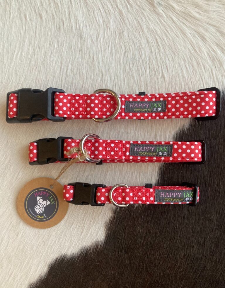 Happy Jax Polka Dot Collars